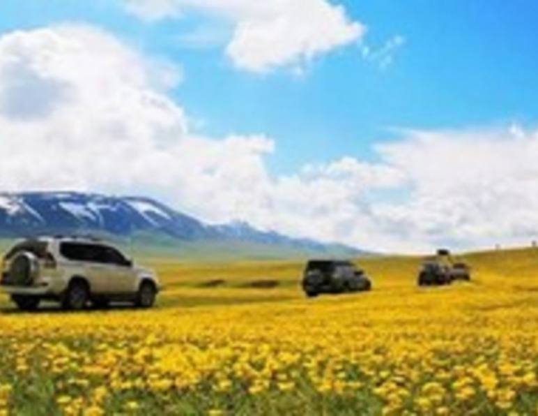 新疆这块连卫星地图都找不到的处女地，在这里将公开？