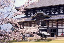 在日本邂逅新的自己