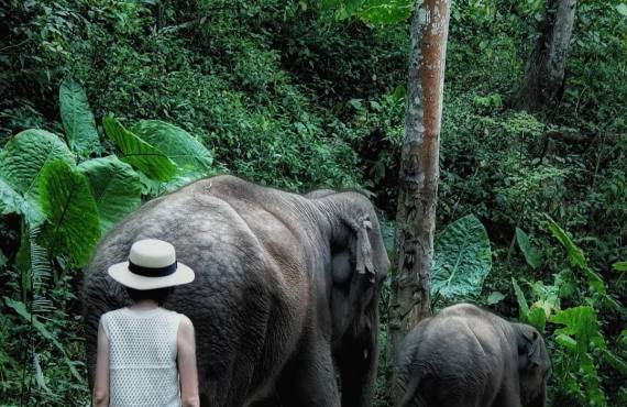 云南西双版纳一日游