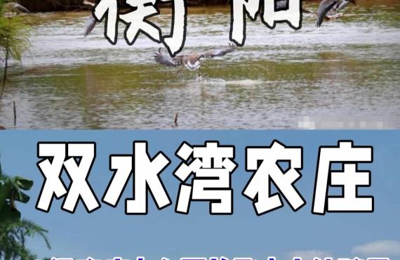 感受原生态 爱上大自然