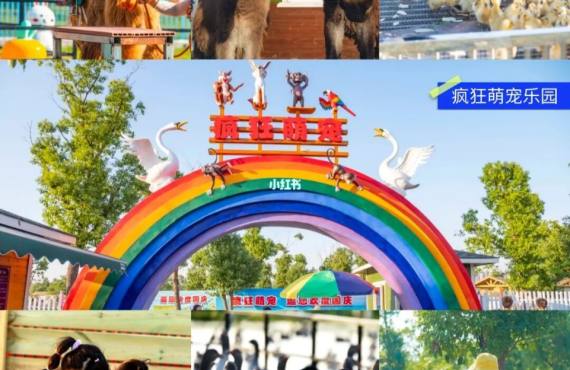 武汉海洋乐园+欢乐谷+花博会两日游