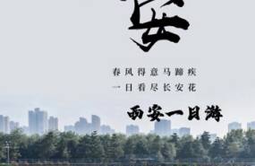 西安|华灯初上便是长安城