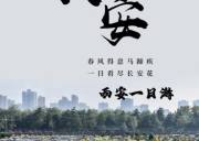 西安|华灯初上便是长安城