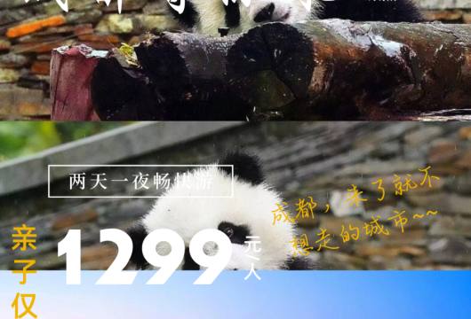 六一去哪玩，成都等你来