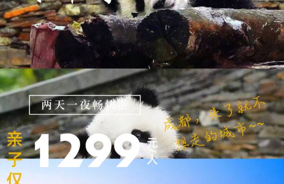 六一去哪玩，成都等你来