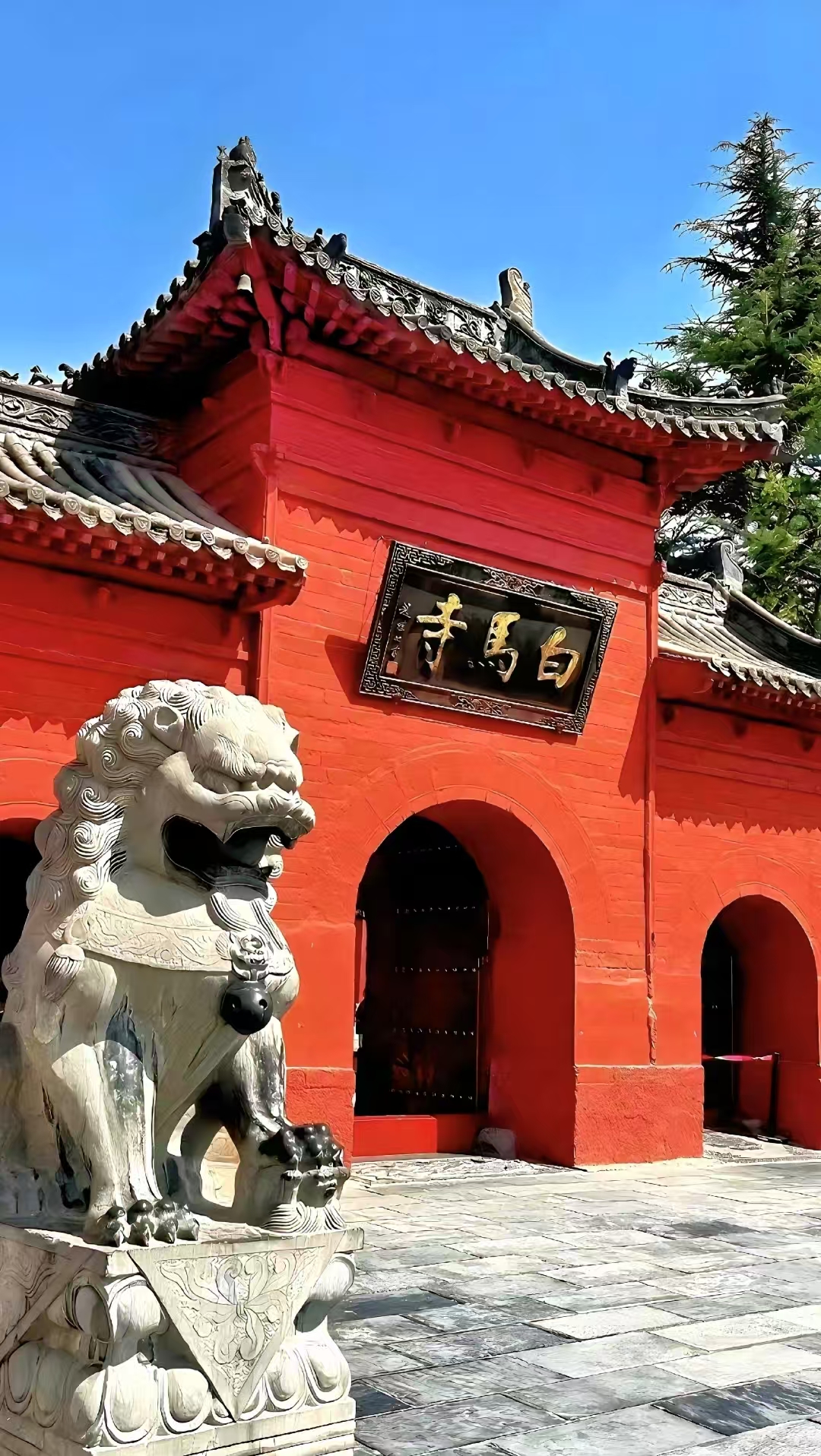 5a0167e5133a9d47f55fc61687cb5ea